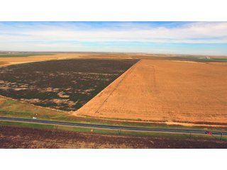 Property photo 3 - IRRIGATED FARMLAND AUCTION - 640+/- ACRES OFFERED IN 1 TRACT IN HARTLEY CO., TEXAS